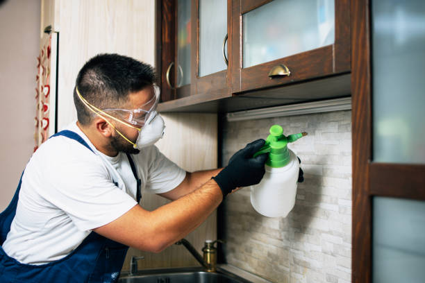 Best Best Pest Control Companies  in Experiment, GA