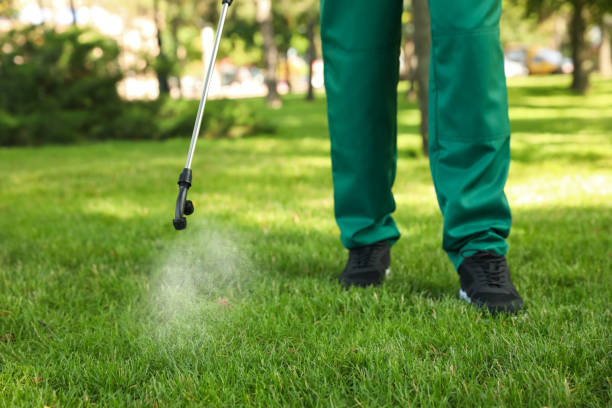 Best Mosquito Control Services  in Experiment, GA