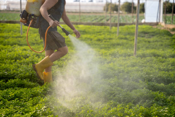 Best Best Pest Control Companies  in Experiment, GA