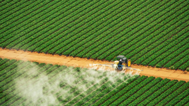 Best Insect Control  in Experiment, GA