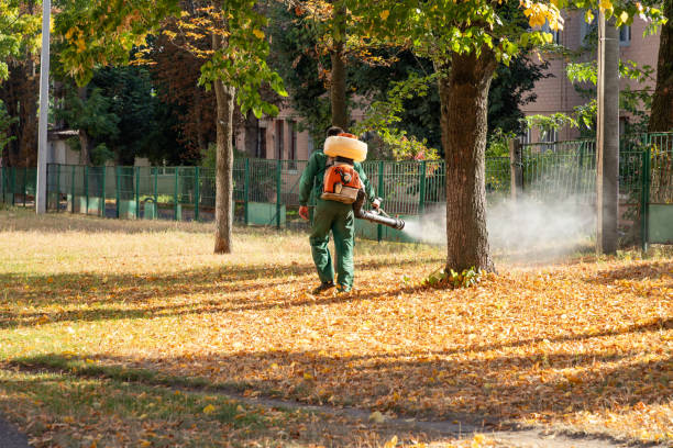 Best Cockroach Control Services  in Experiment, GA