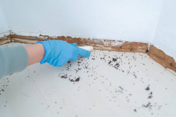 Best Exterminator Services  in Experiment, GA