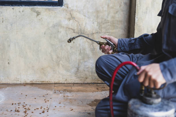 Best Pest Removal Services  in Experiment, GA