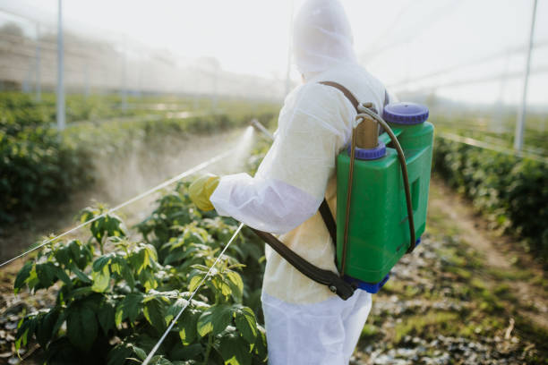 Best Pest Control Near Me  in Experiment, GA